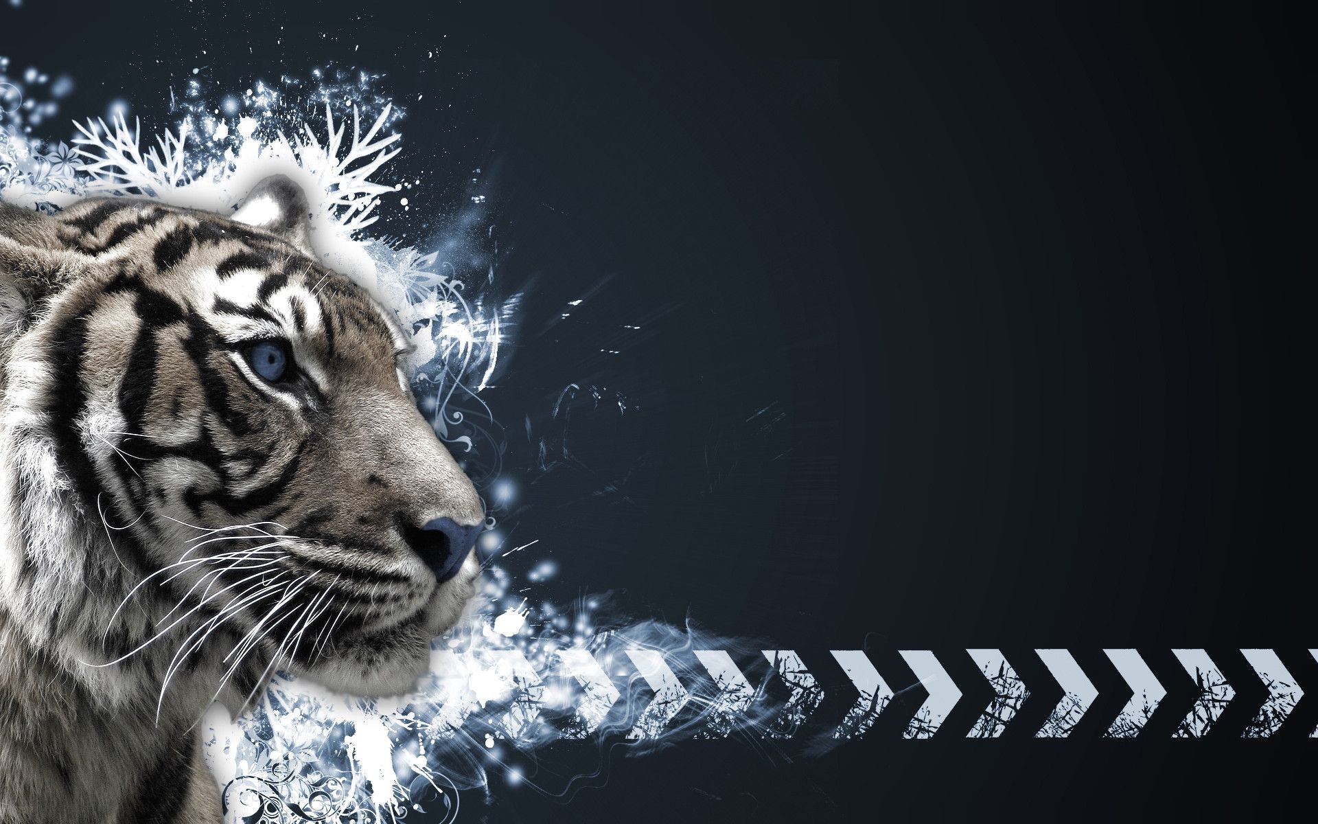 Cool Tiger Wallpaper: Stunning profile of a tiger with icy blue eyes against a dark, abstract backdrop