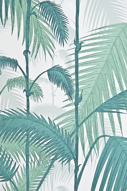 Palm Jungle Wallpaper Aqua Cole And Son Contemporary Re Styled