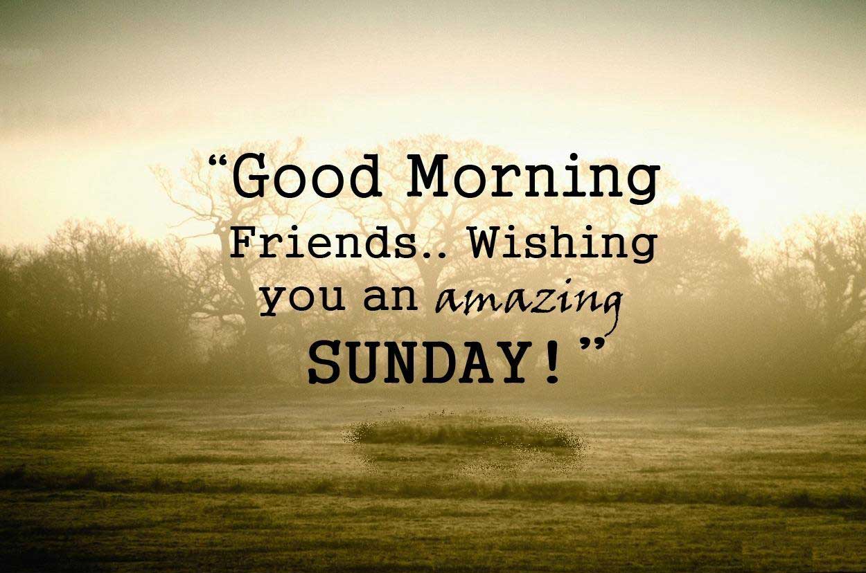 312 Happy Sunday Quotes Wishes Images HD Download