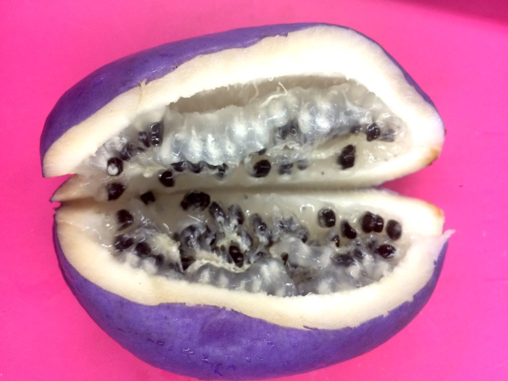 Autumn Mystery Fruit In Japan Akebi Gaijinpot