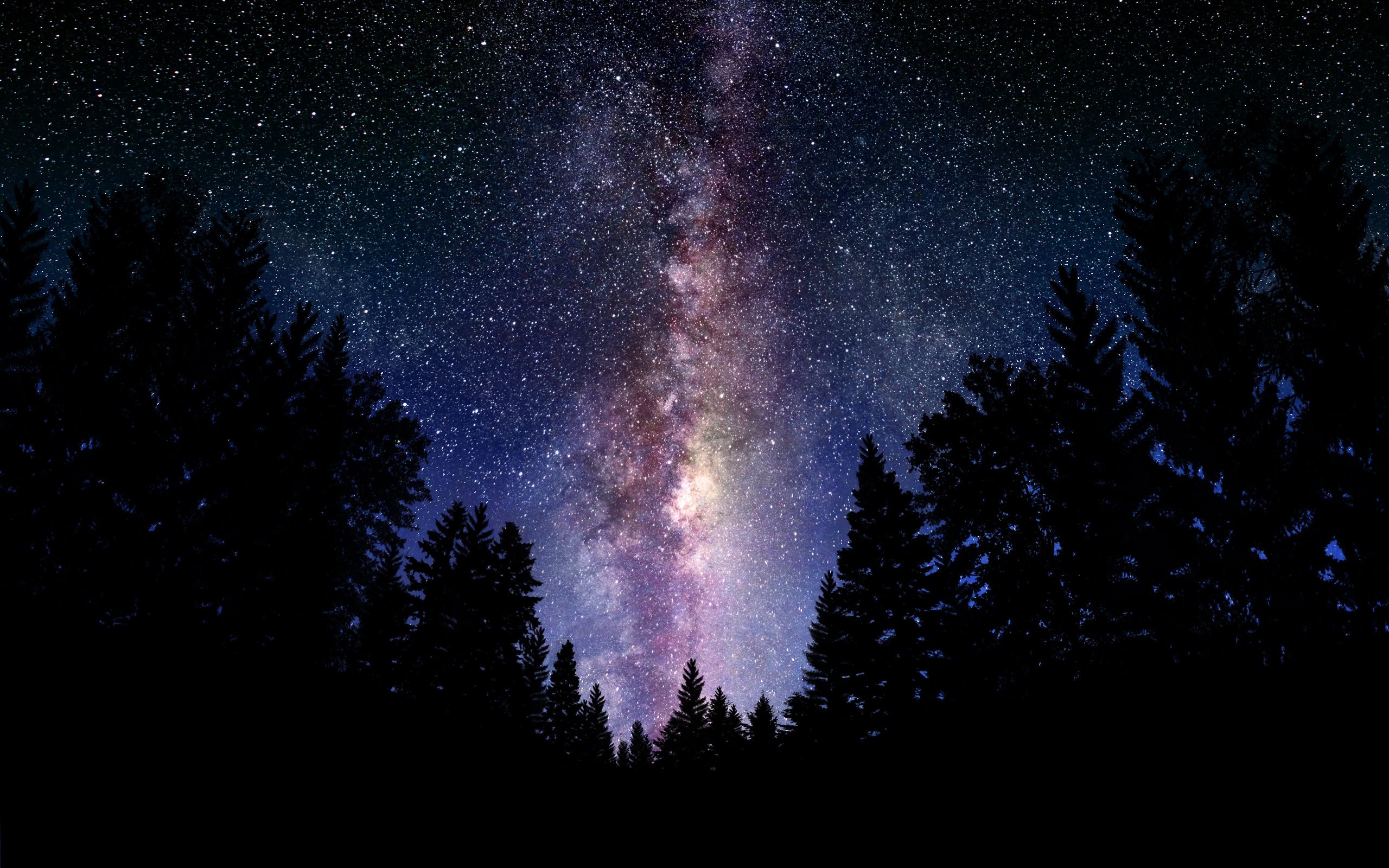 Silhouette of pine trees against a backdrop of the Milky Way galaxy