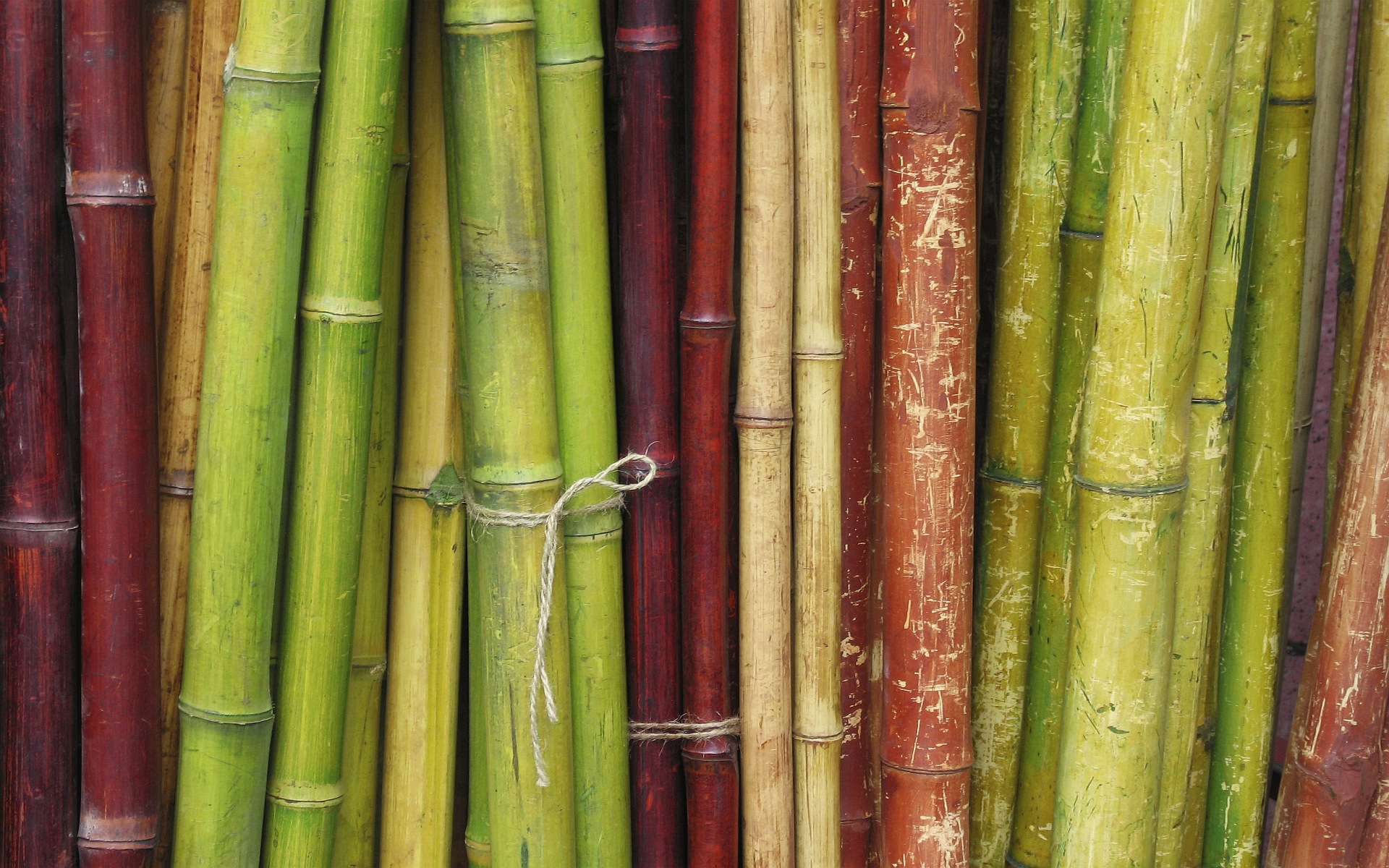 HD Bamboo Wallpaper