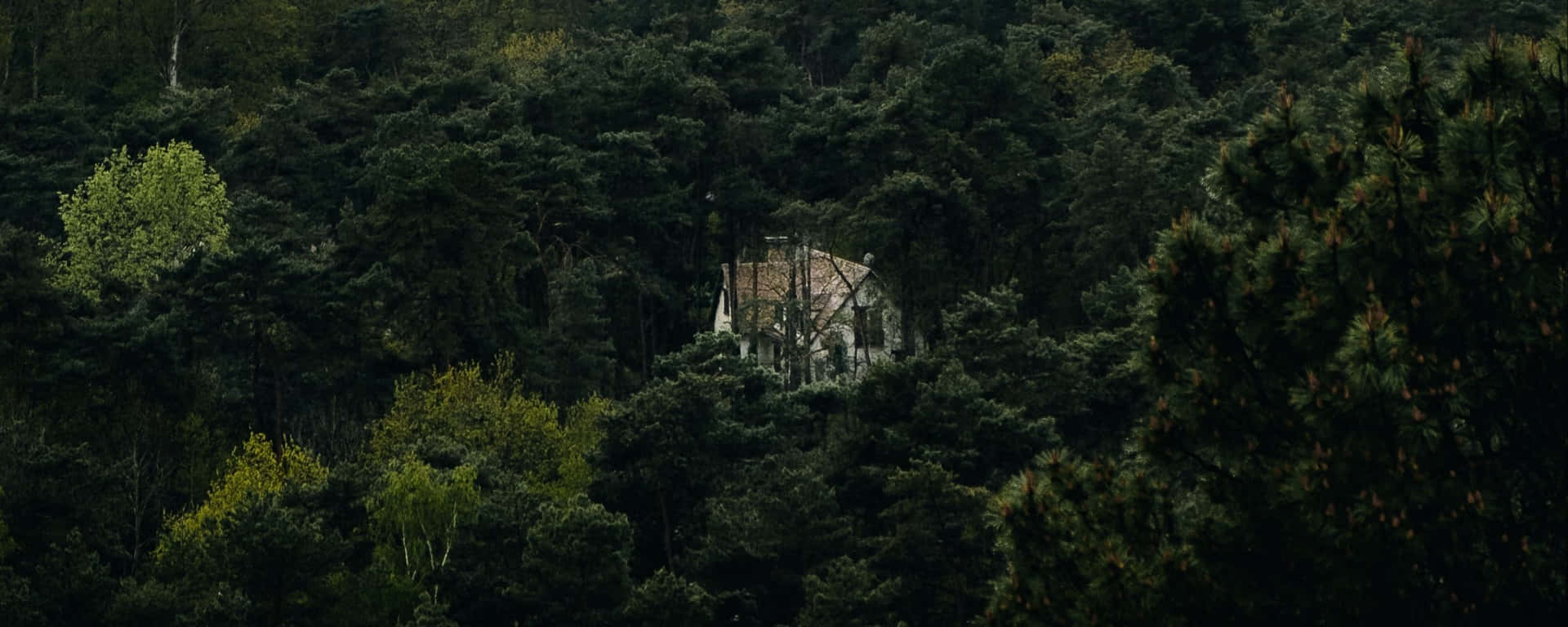 Ultra Wide Nature Wallpaper