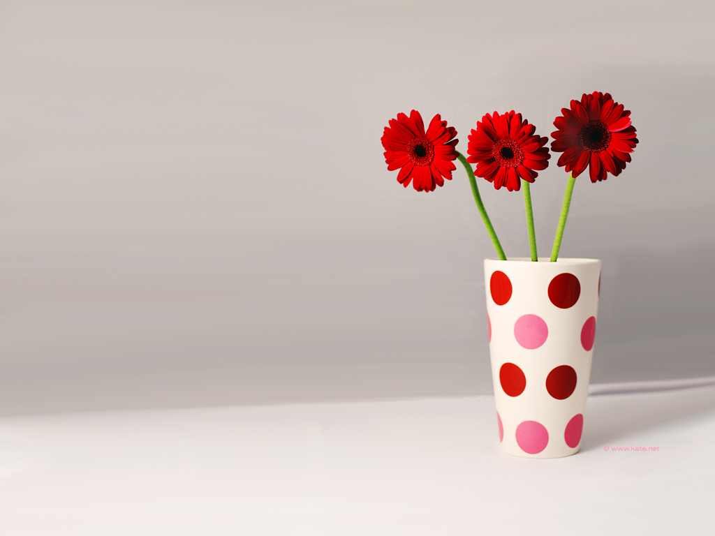 Beautiful Flower Wallpaper For You