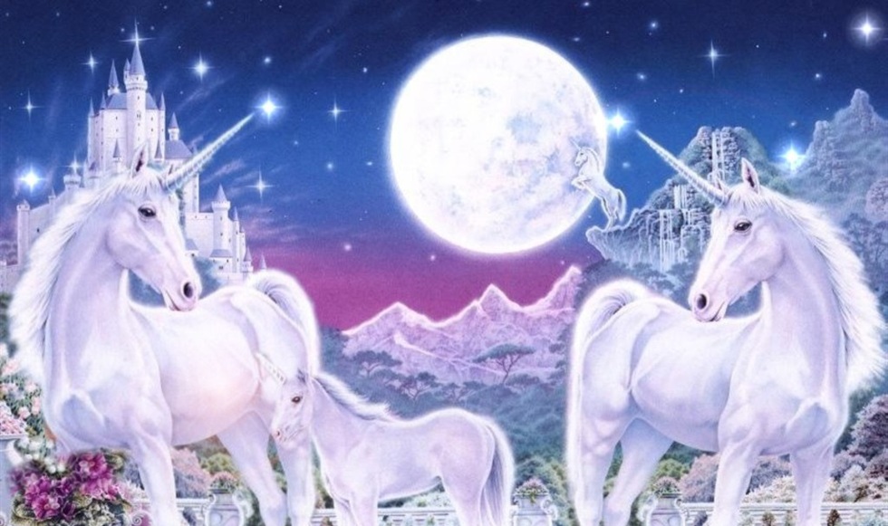  Full Moon And Star Filled Night desktop wallpaper WallpaperPixel