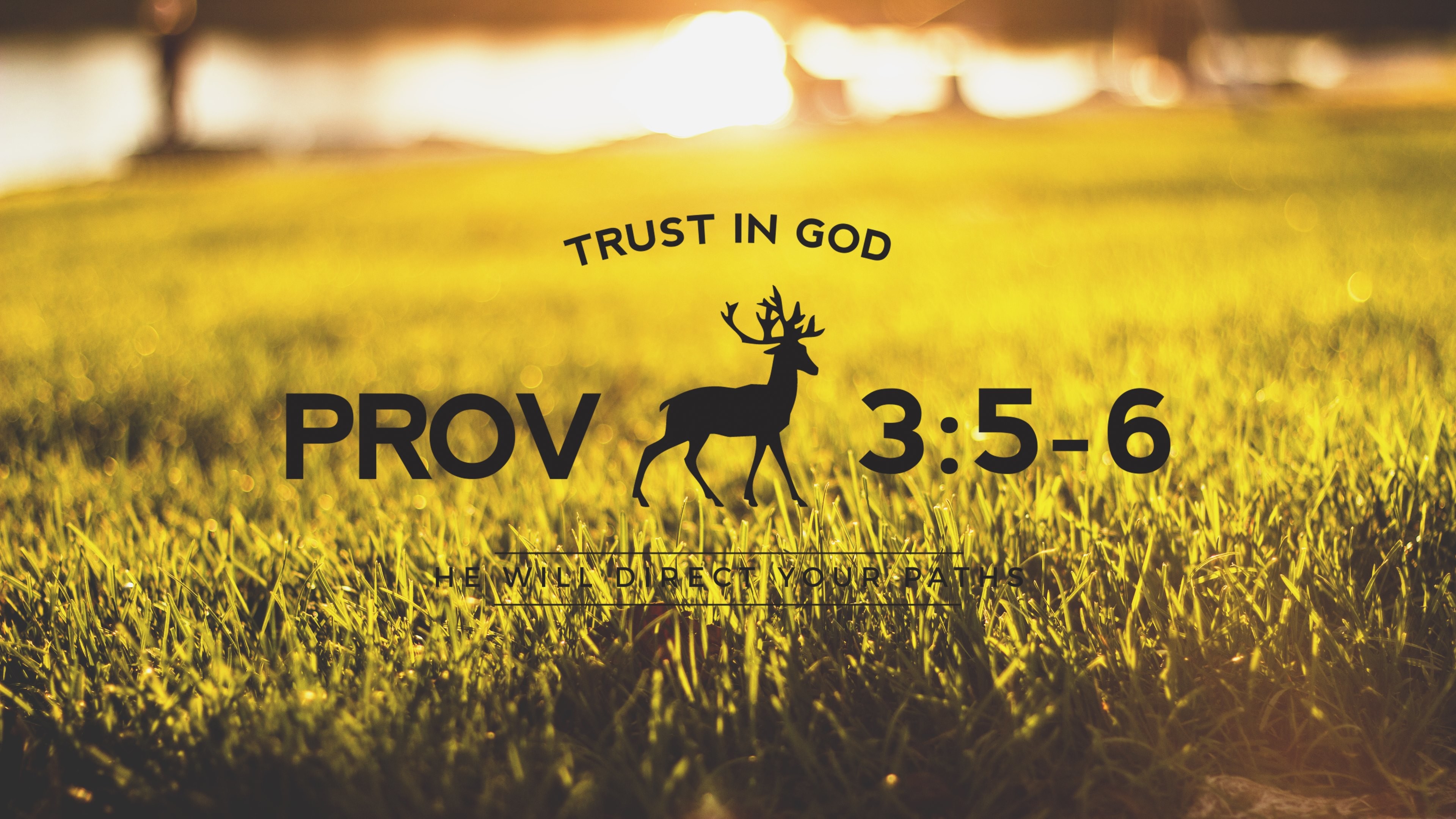 A scenic wallpaper featuring a Bible verse from Proverbs 3:5-6: 