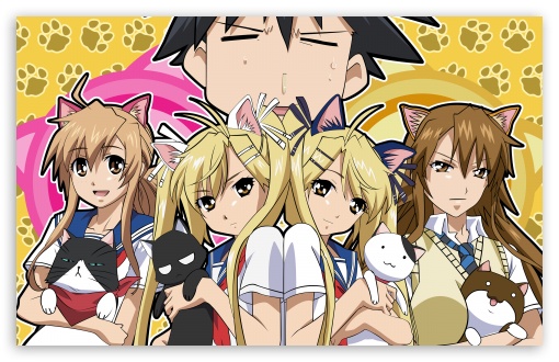Cat Girls Anime HD Wallpaper For Wide Widescreen Whxga Wqxga
