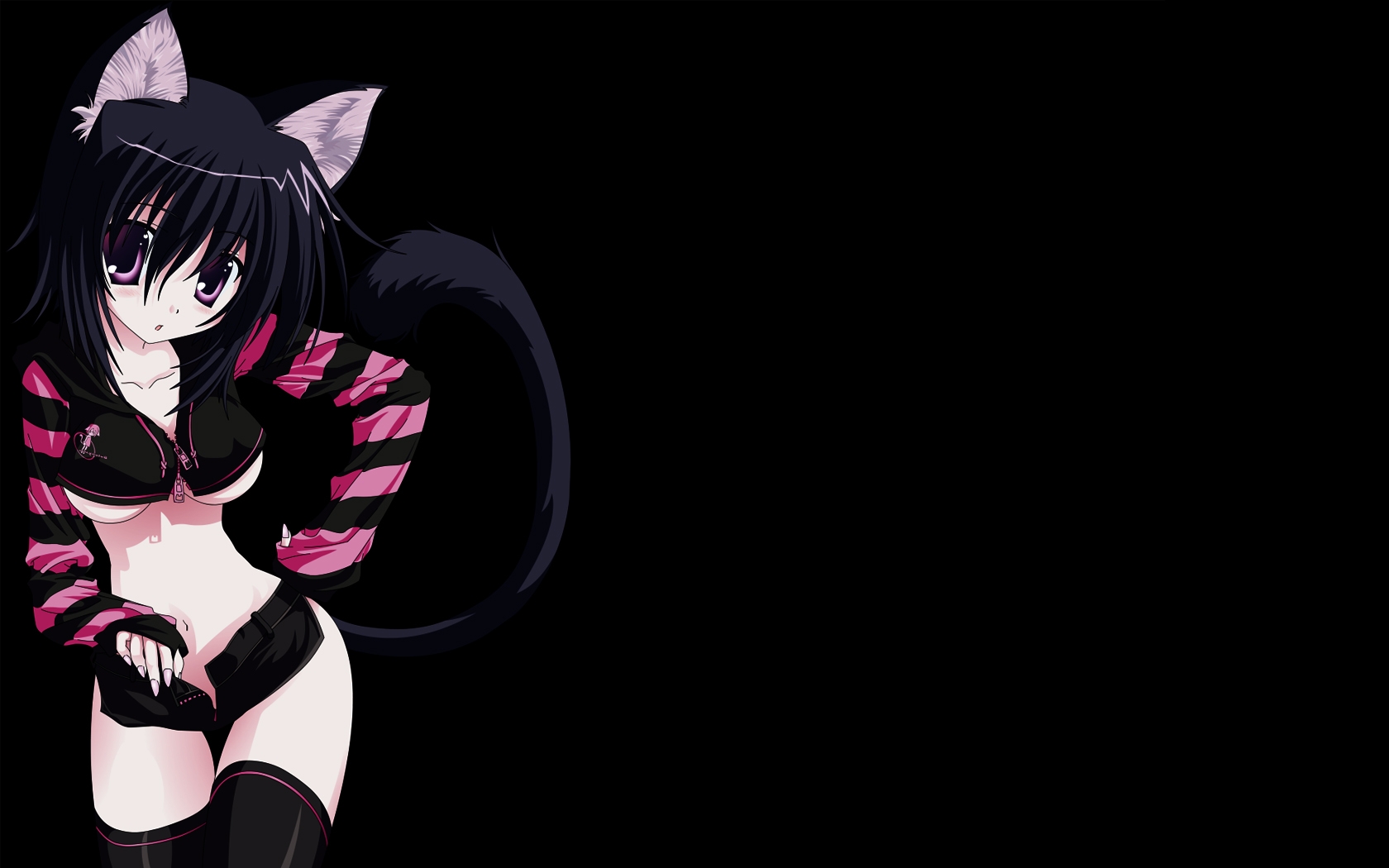 Brutes Ecchi Nekomimi Animal Ears Tights Cat Anime HD Wallpaper Of