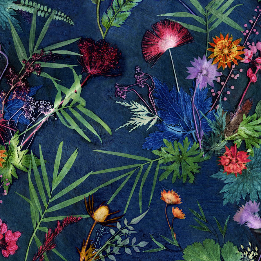 Bold Tropical Floral Wallpaper By Gillian Arnold Notonthehighstreet