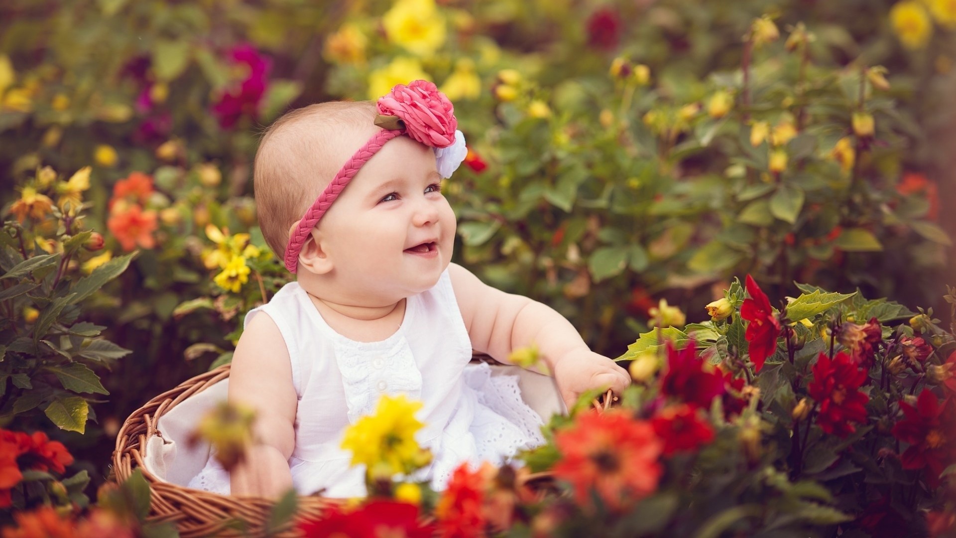 Cute Baby Wallpaper