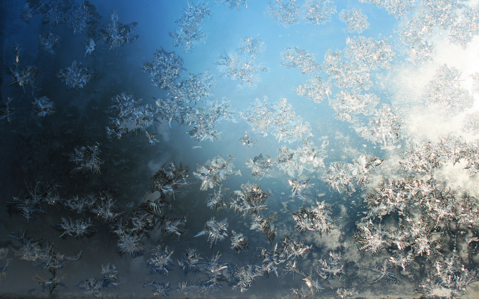 Frost Crystals Wallpaper by Anachronist84 1680x1050