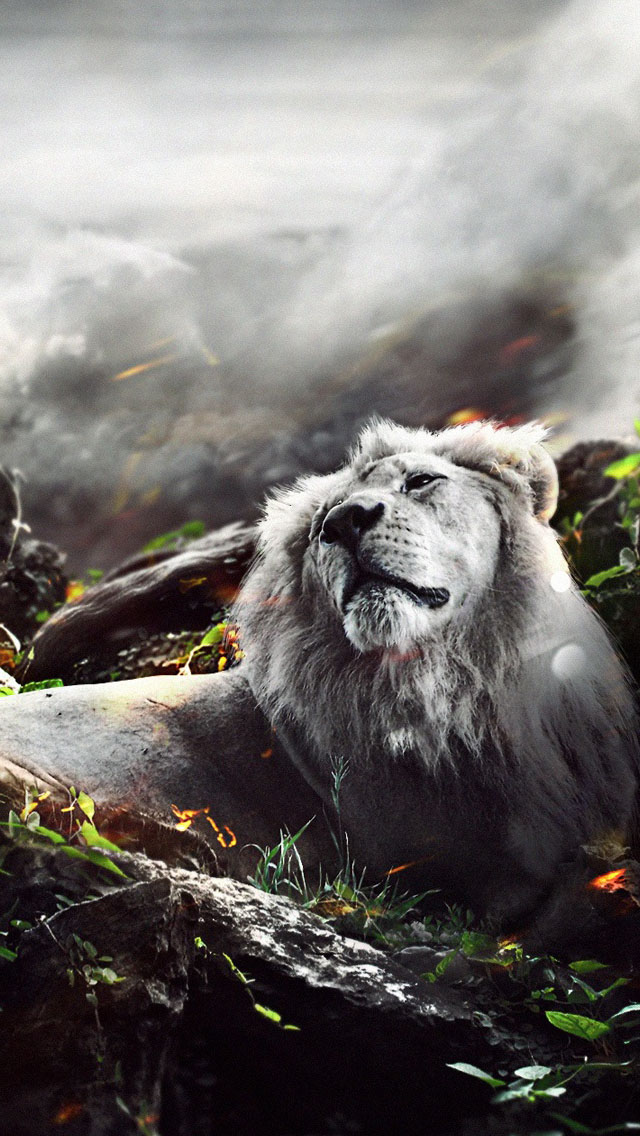 Roaring Lion iPhone 5s 5c Wallpaper Car Pictures