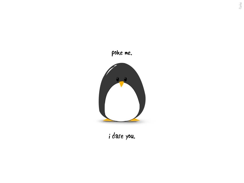 Cute Penguin Wallpaper HD