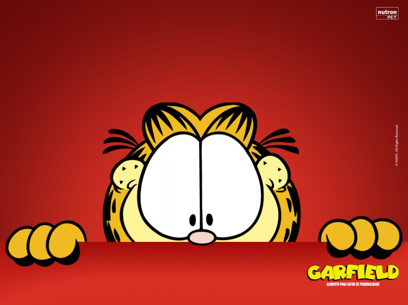 Wallpaper free download Garfield the cat with a red backgroundChild