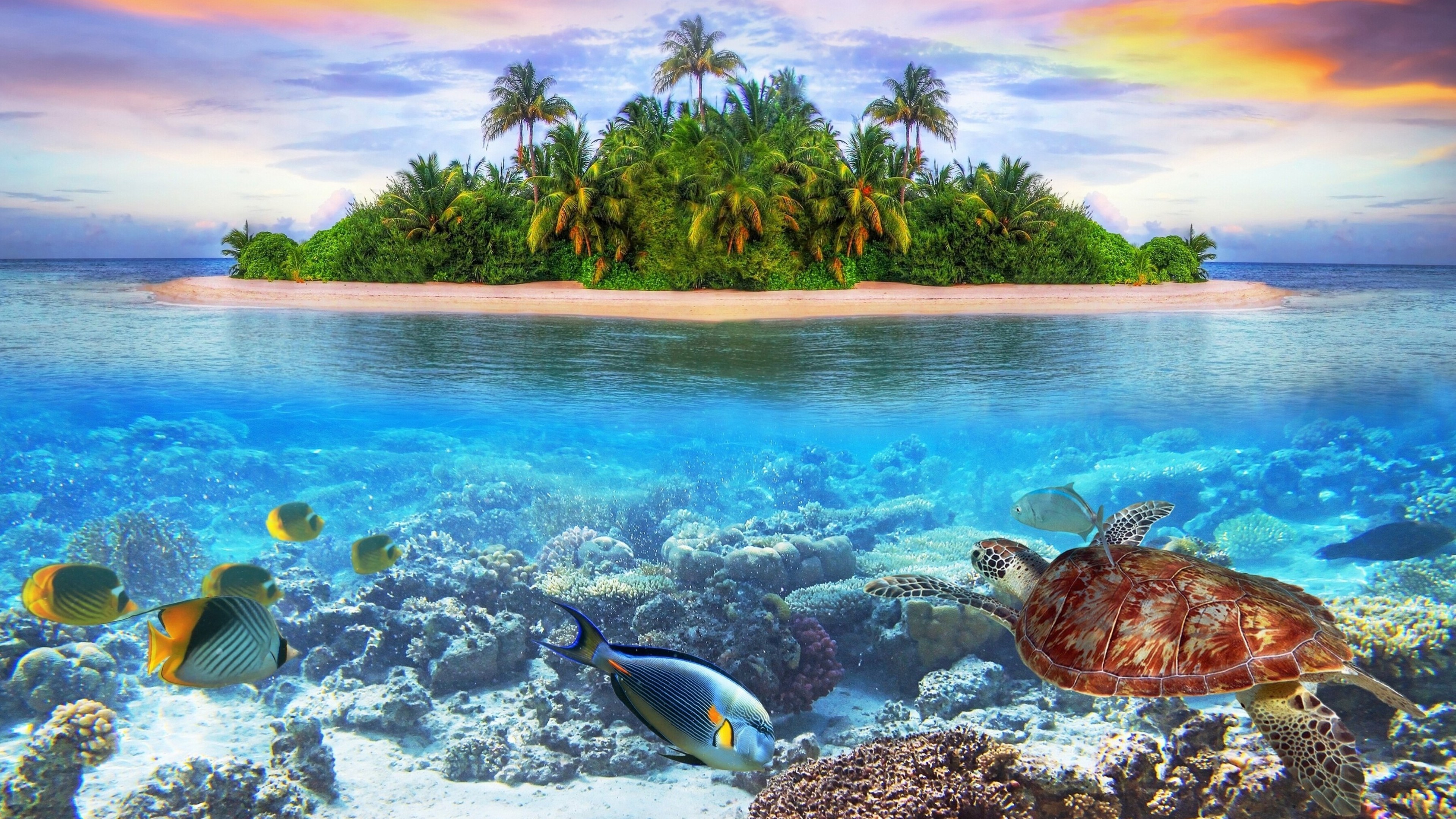 A vibrant coral reef teeming with colorful fish and a sea turtle, with a tropical island paradise visible above the waterline