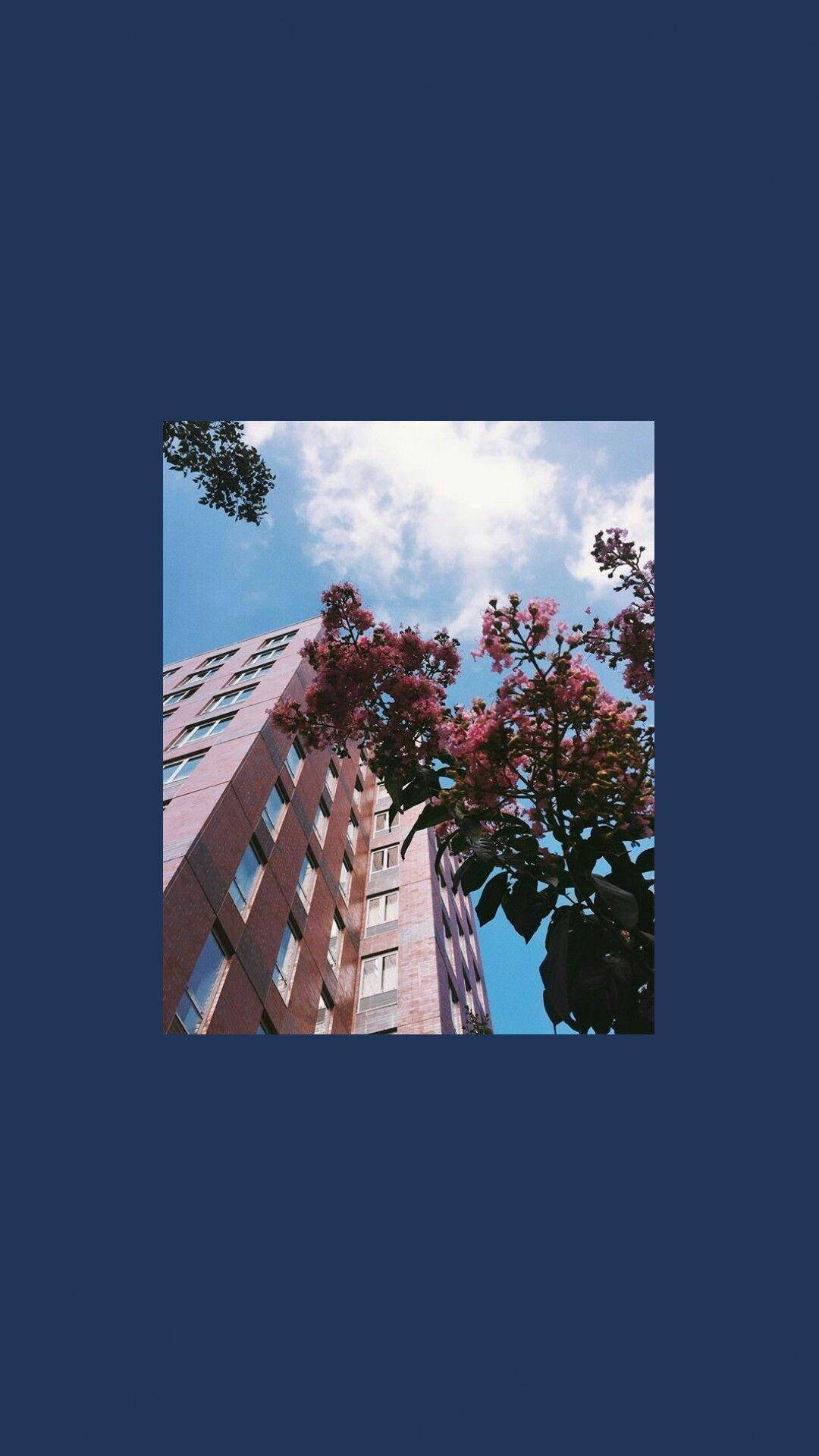Aesthetic Lockscreen Wallpaper