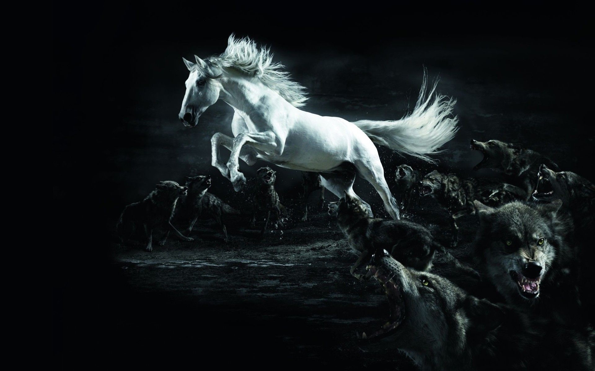 Running Horses Wallpaper Image