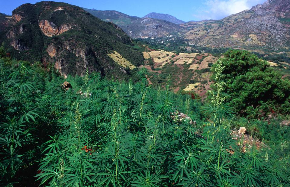 Everything You Need To Know About Smoking Kif In Morocco