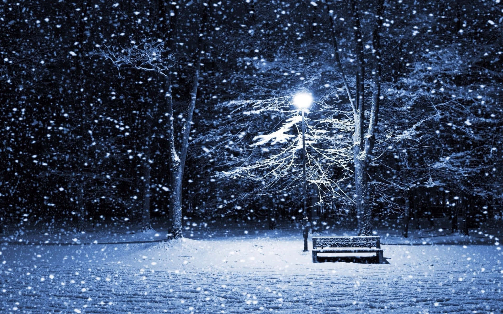 Winter Night Desktop Wallpaper