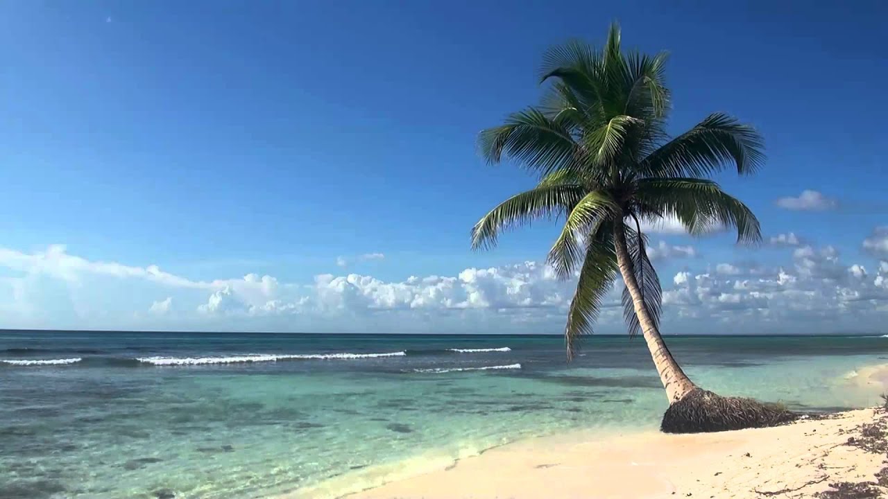 Relaxing Hour Video Of Tropical Beach With Blue Sky White
