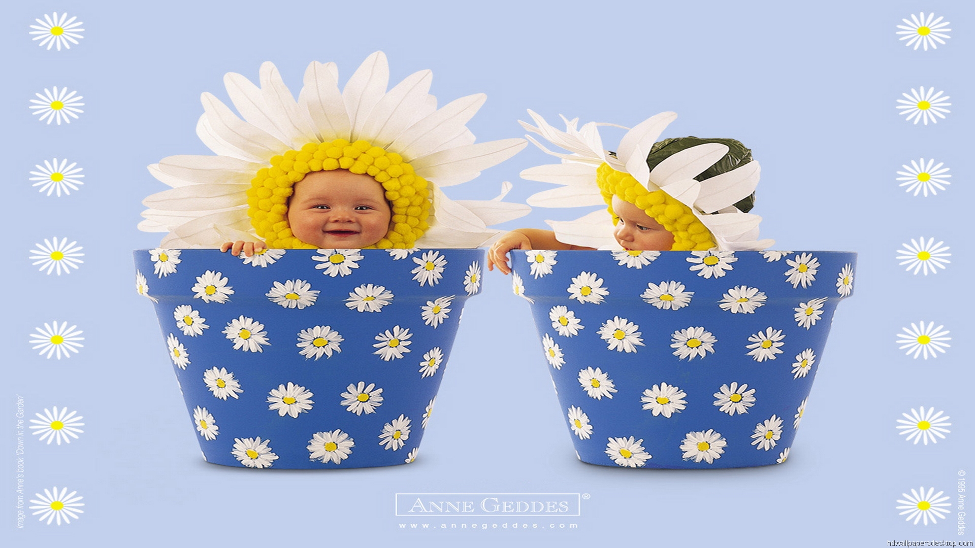 Anne Geddes Easter Wallpaper Picture