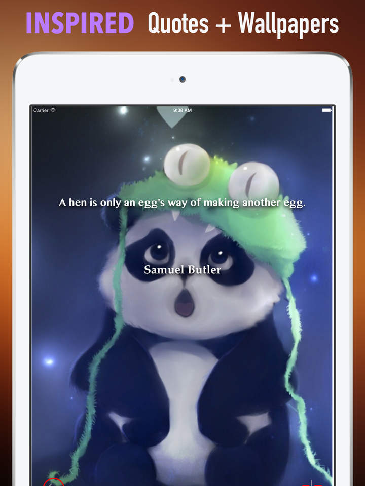 Panda Wallpaper HD Quotes Background With Art Pictures Apps