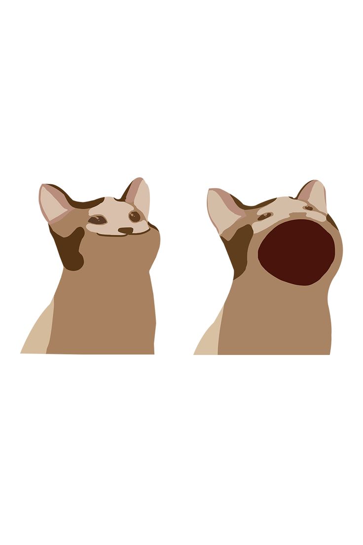 Cute Popping Cat Meme Pop Patterns Wallpaper Animal