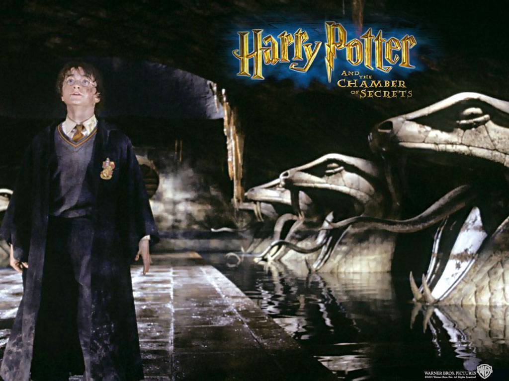 Harry Potter And The Chamber Of Secrets James