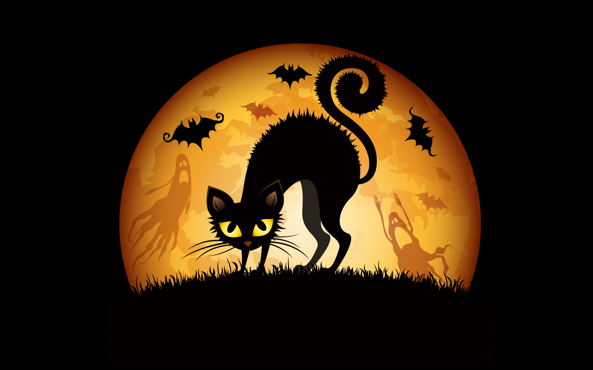 HD Widescreen Wallpaper Halloween Cats On