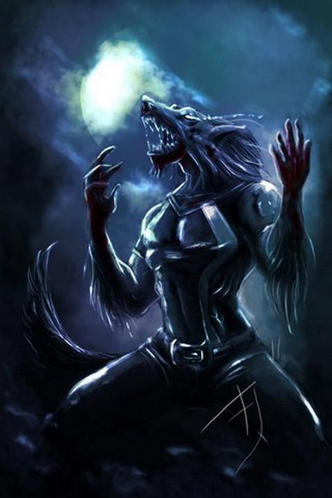 Wolf HD Wallpaper Android Apps On Google Play