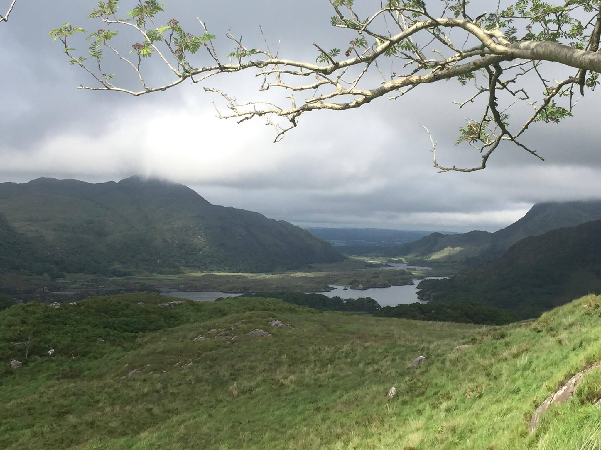Oc Killarney National Park Co Kerry Taken On An