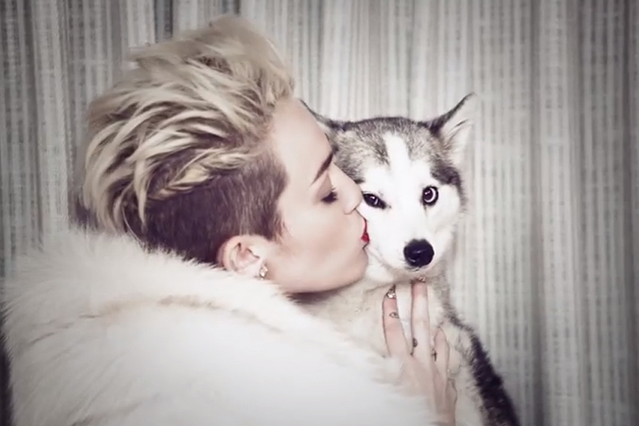 Miley Cyrus Desktop Wallpaper Plete With A Sweet Puppy