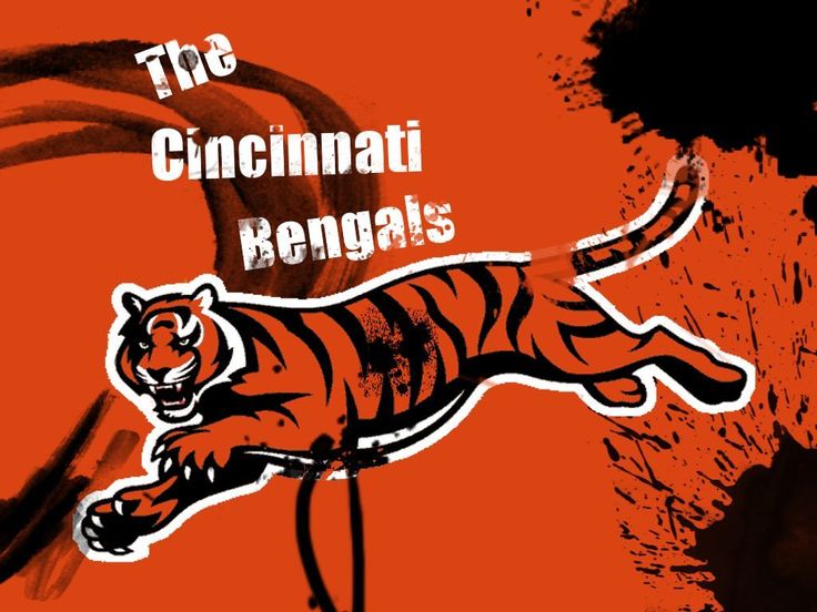 Cincinnati Bengals Logo For Desktop NFL Pinterest