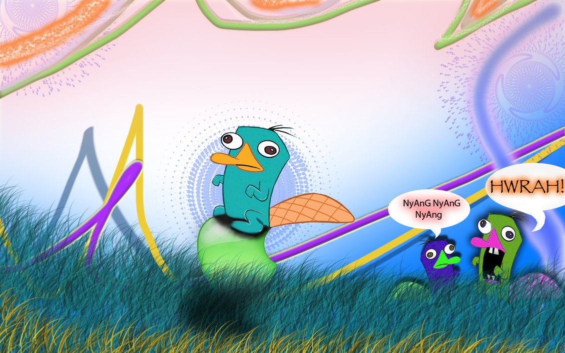 Perry The Platypus Wallpaper By Rockdude69