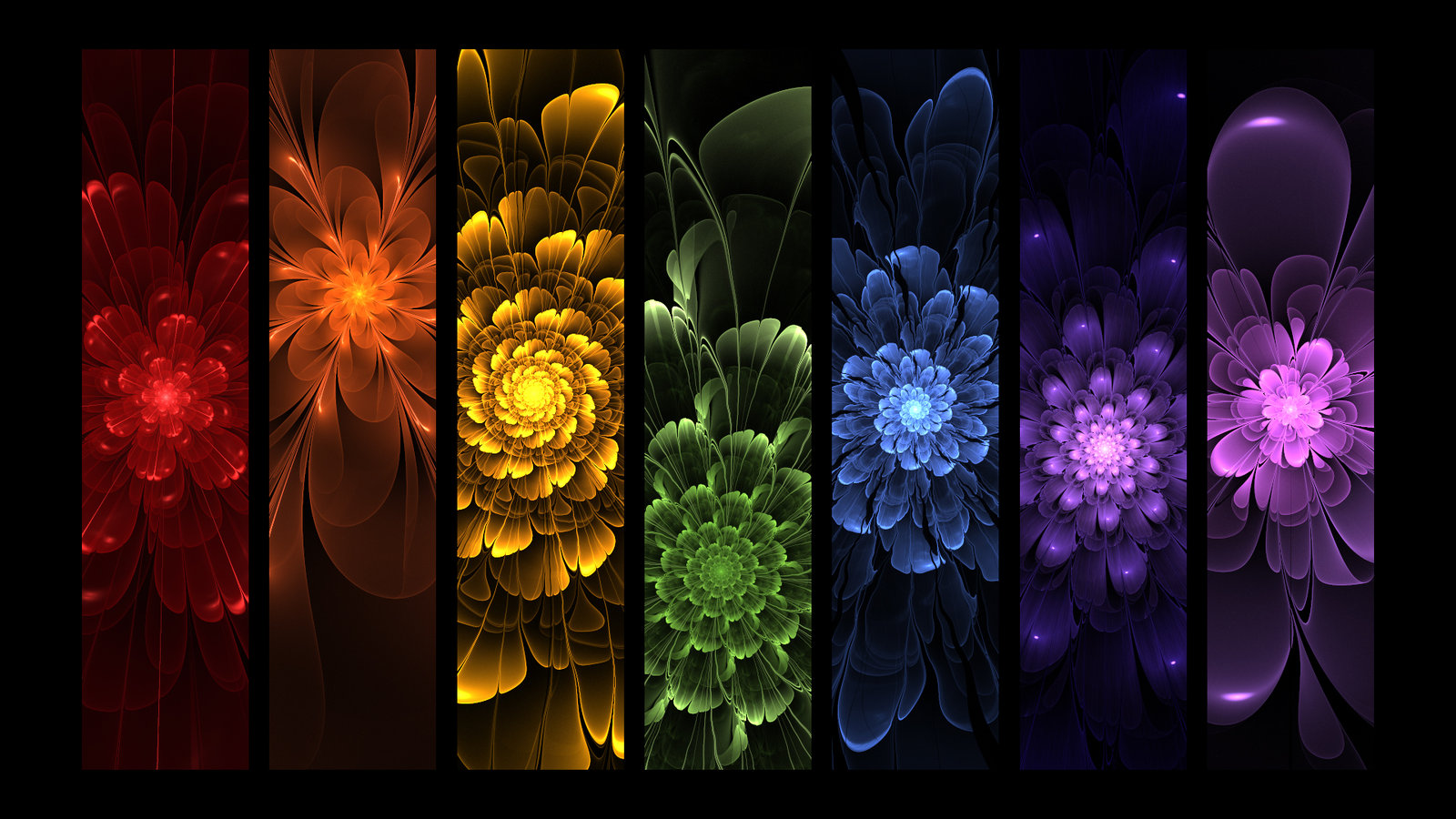 Rainbow Flowers By Mythara
