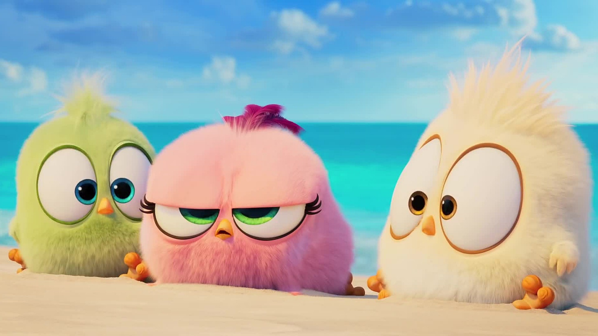 The Angry Birds Movie HD Movies 4k Wallpaper Image