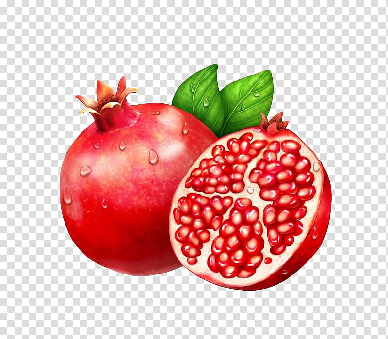 Pomegranate Cliparts Clip Art