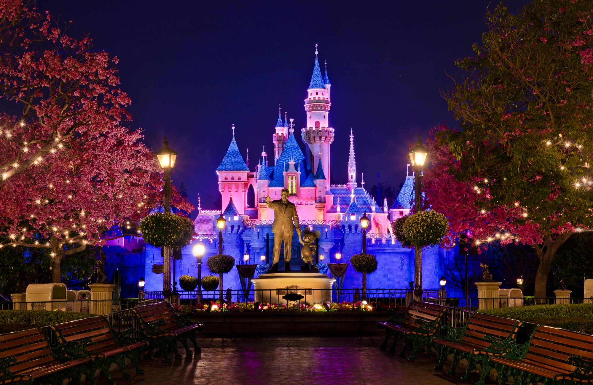 Disney Castle Background High Resolution