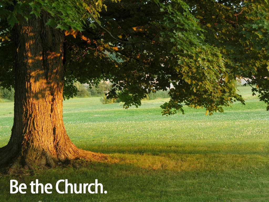 Be The Church Tree Wallpaper Background