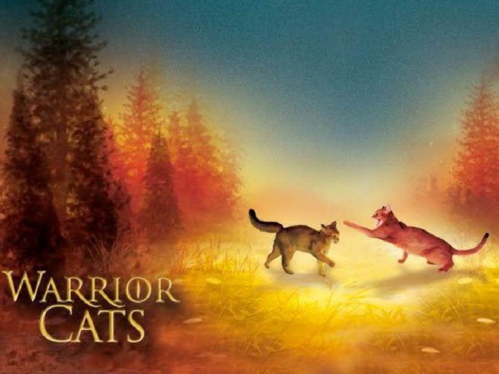 Warriors Cats Desktop Wallpaper
