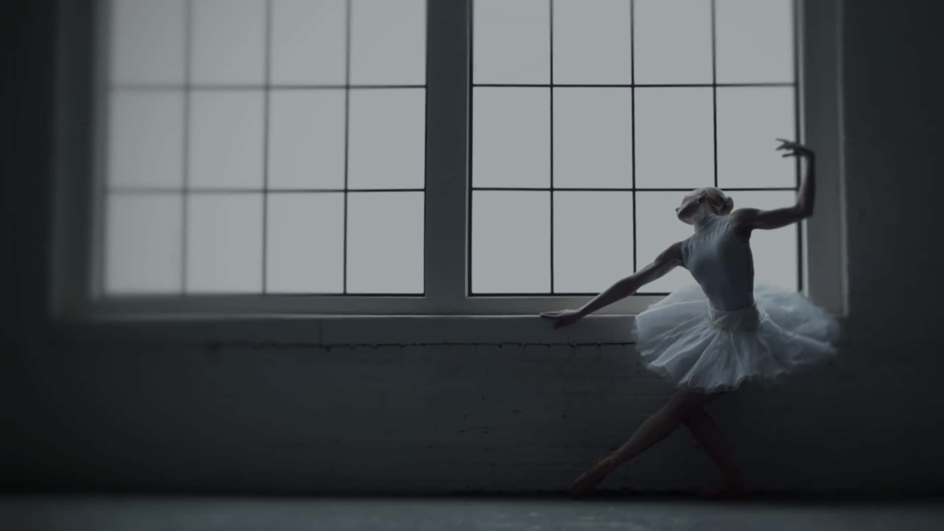 Ballerina Dancer Silhouette Black And White Photography 59lmpwboq1lsqb83 Wallpaper