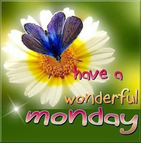 Lovely Monday HD Pictures Wallpaper Photo S Image Festival