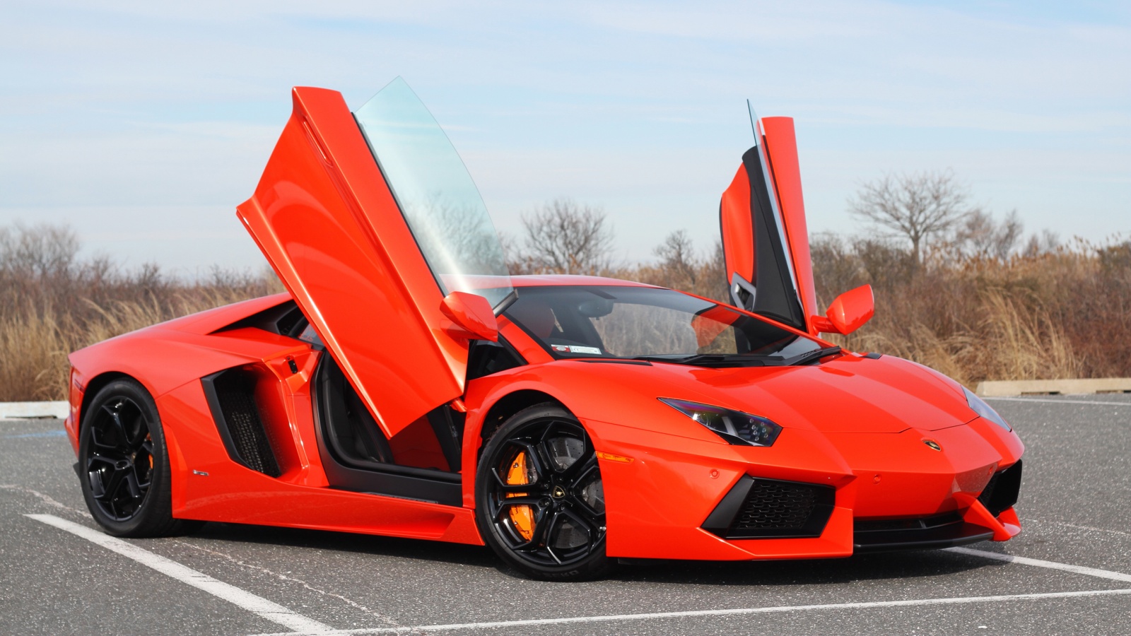 Exotic Vehicle Repair Specialists Dc Baltimore Philly