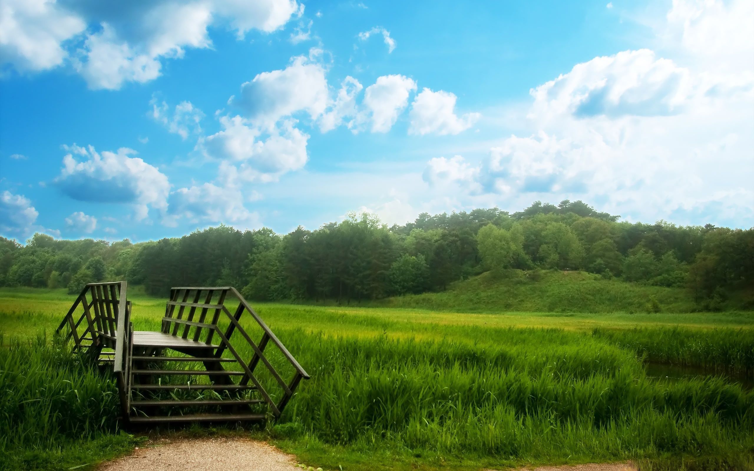 Scenic nature background with wooden bridge, green field, and forest