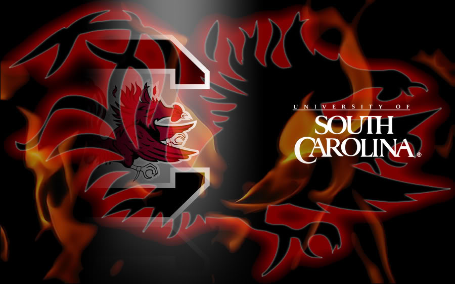 South Carolina Gamecocks Image Graphic Code
