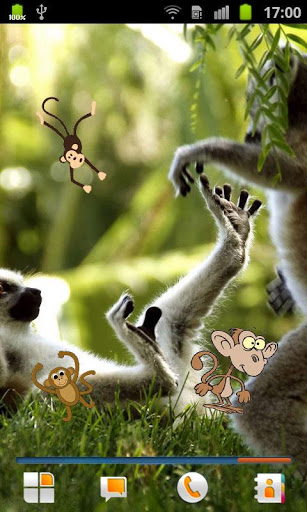 Monkey Live Wallpaper Android Apps Games On Brothersoft