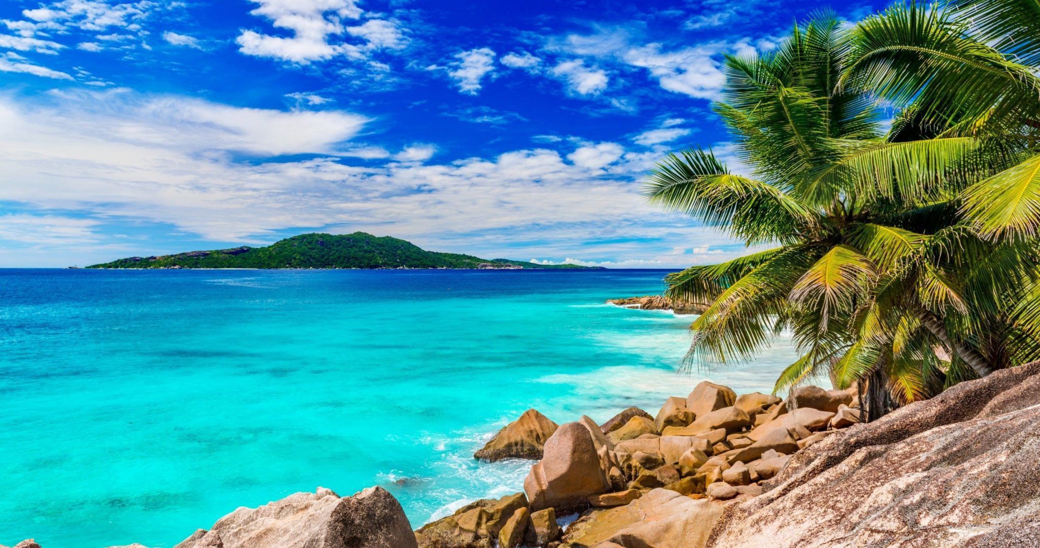 Summer Wallpaper 4k