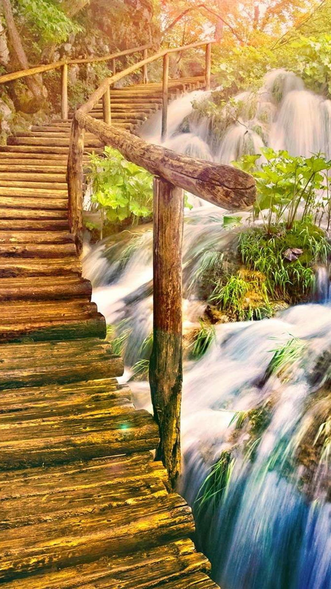 Nature Phone Wallpaper