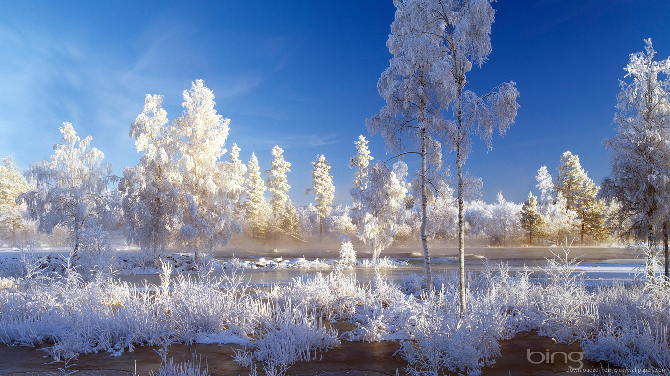 Bing Winter Landscape Wallpaper