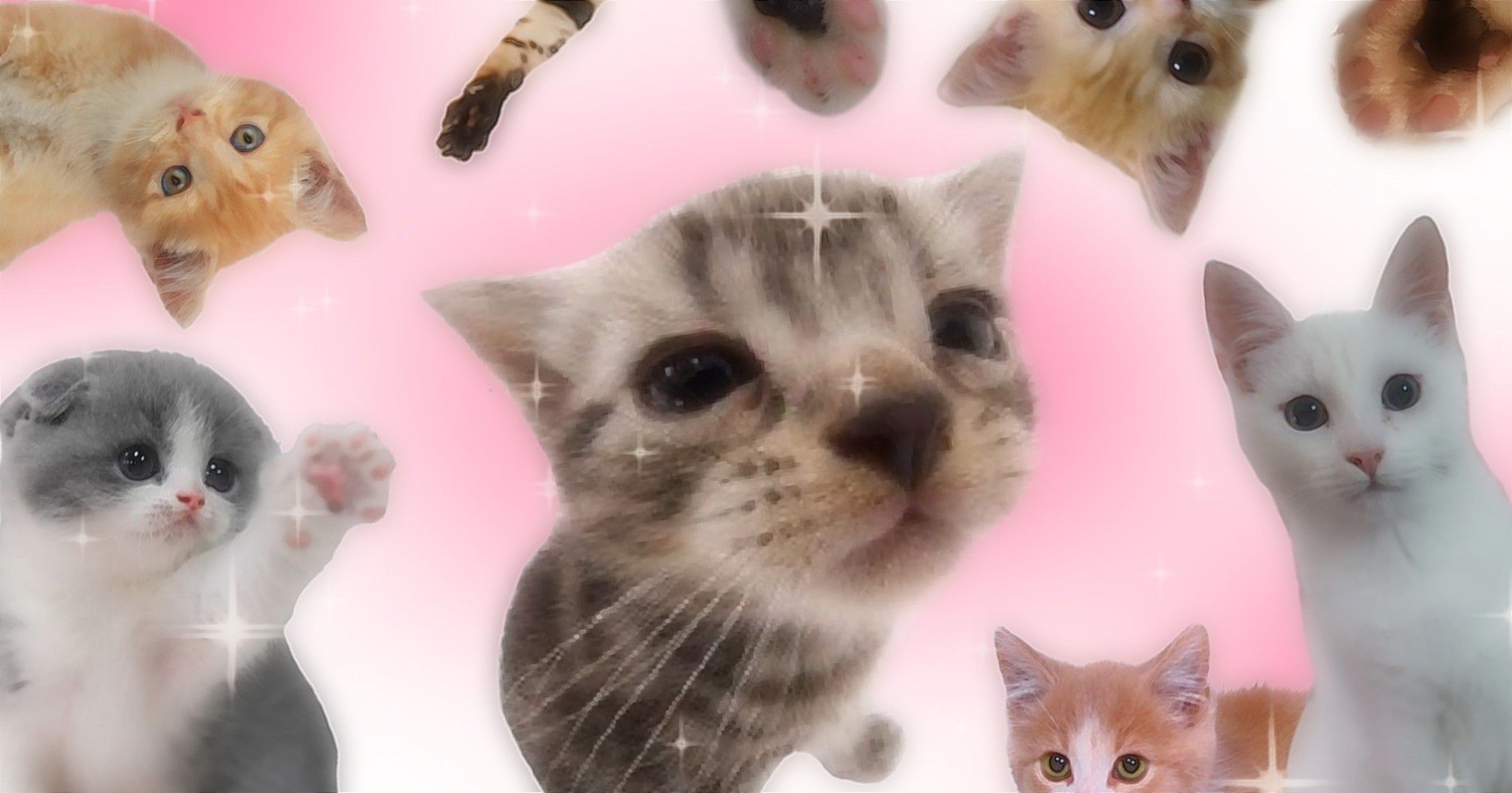 60c39e8dd446877c80527a540f143abf Wallpaper